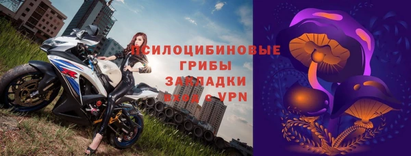ПСИЛОЦИБИНОВЫЕ ГРИБЫ Слюдянка